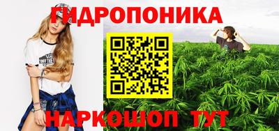 гашик Рязань