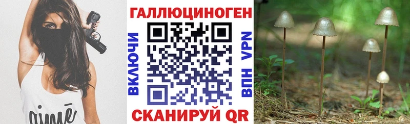 закладки  Сердобск  Псилоцибиновые грибы GOLDEN TEACHER 